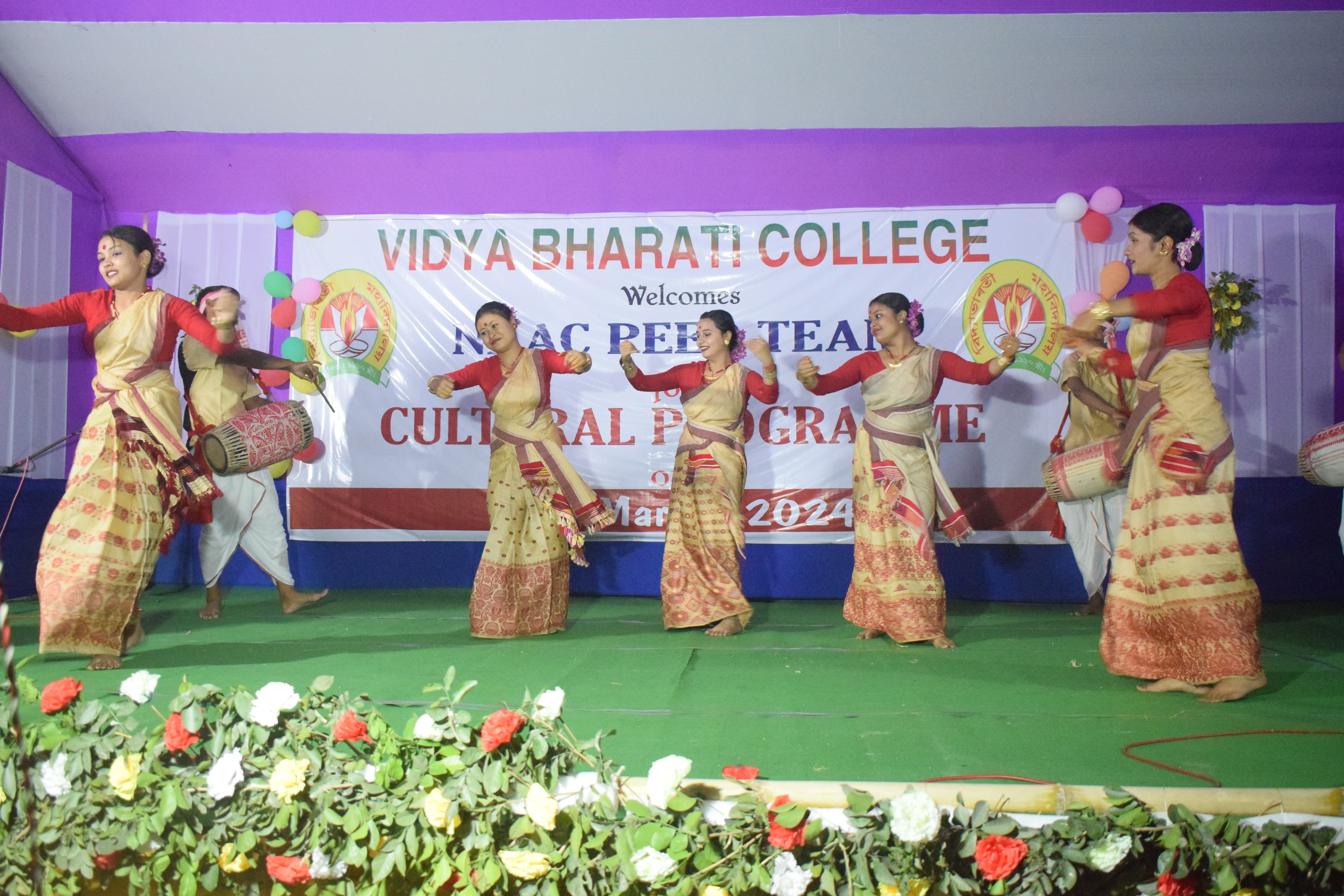 Vidya Bharati College