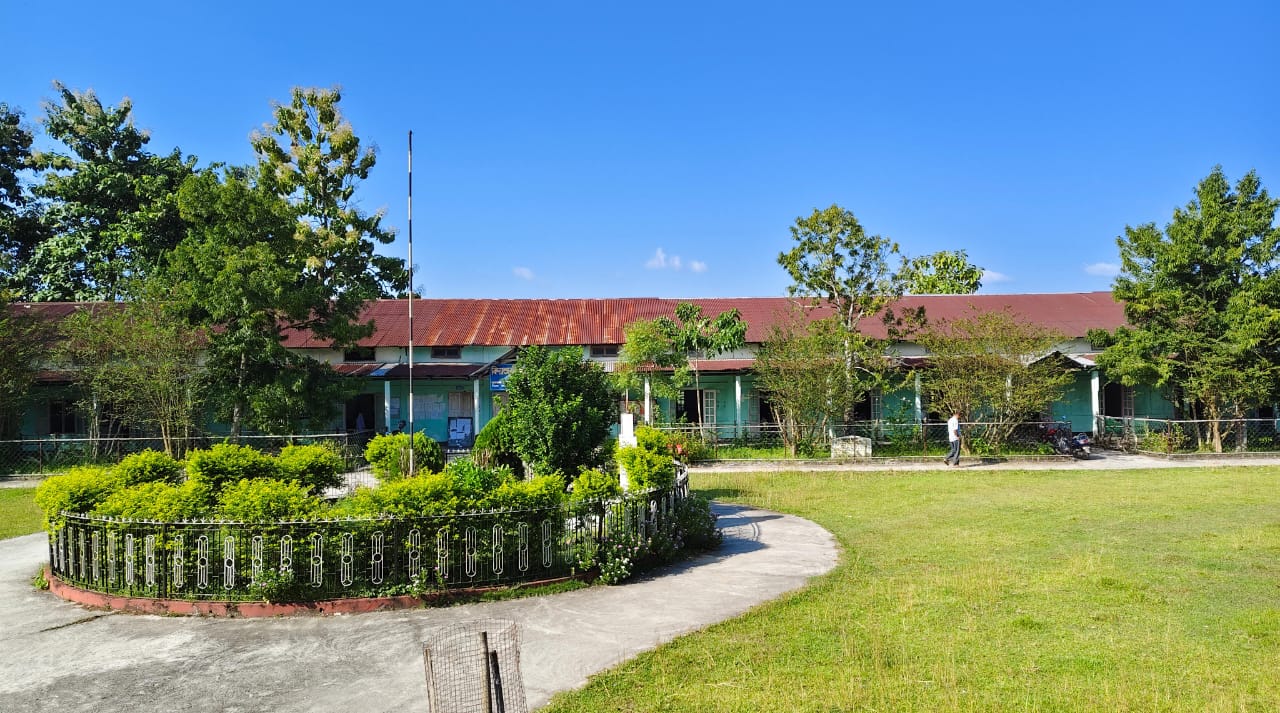 Vidya Bharati College