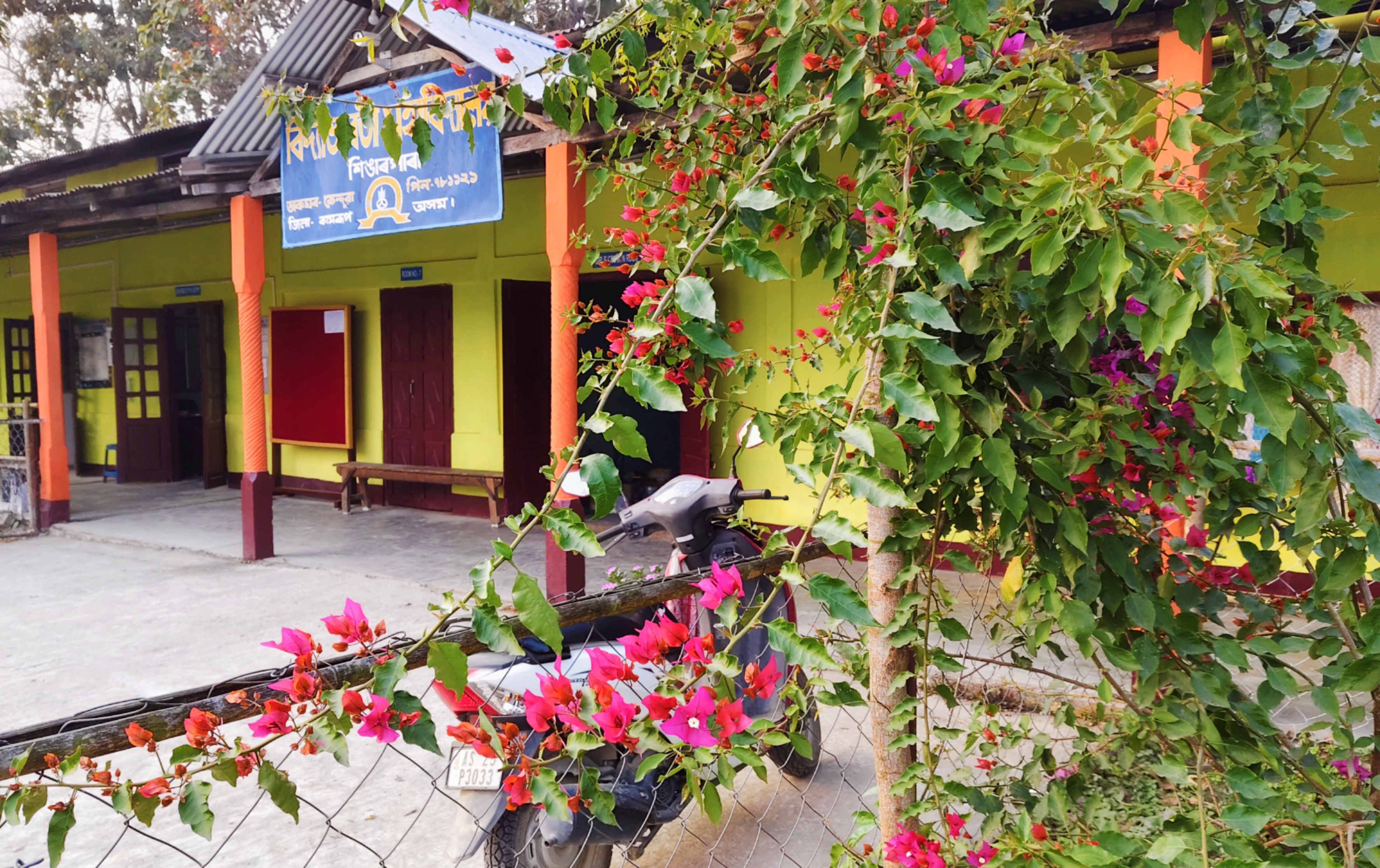 Vidya Bharati College